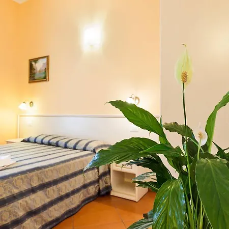 Bed and breakfast Vatican Town Roma